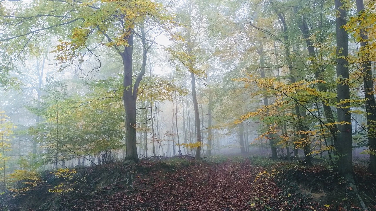 Wandern in Bensheim! Unsere Tipps und Empfehlungen für ein unvergessliches Wandererlebnis an der Bergstraße.