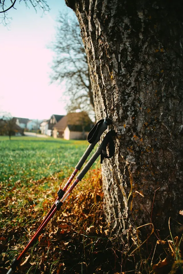 Nordic Walking Bensheim: Panorama-Routen mit Ausblick – Auerbach, Melibokus, flexible Strecken (6–12 km).