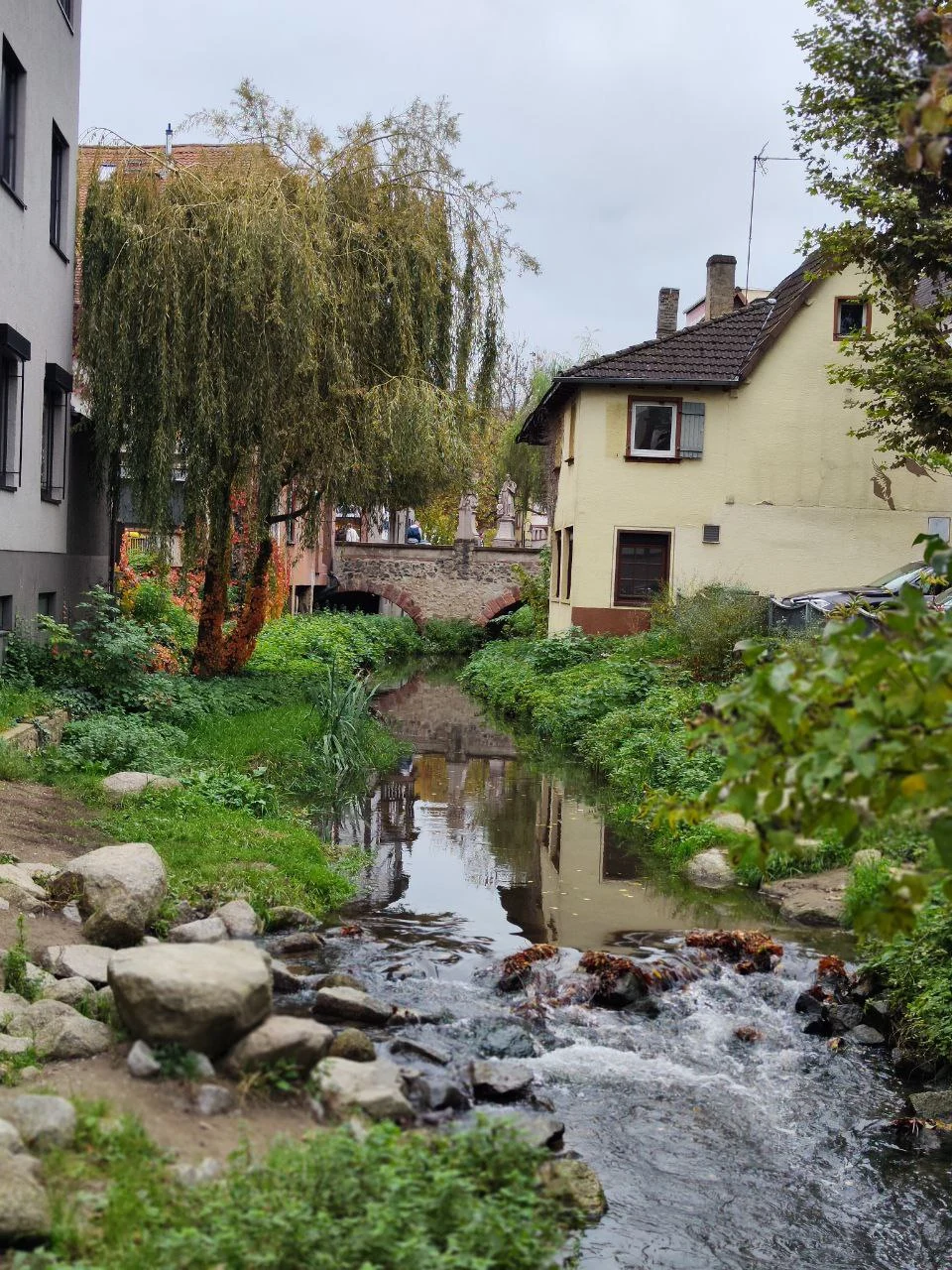 Die schönsten Naturparks rund um Bensheim